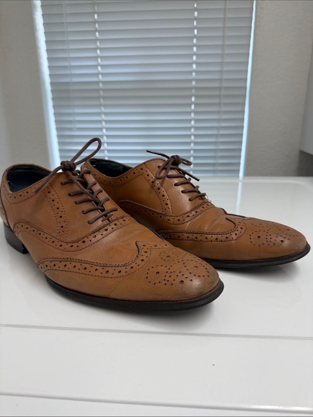 Alfani Brown Wingtip Brogue Oxfords